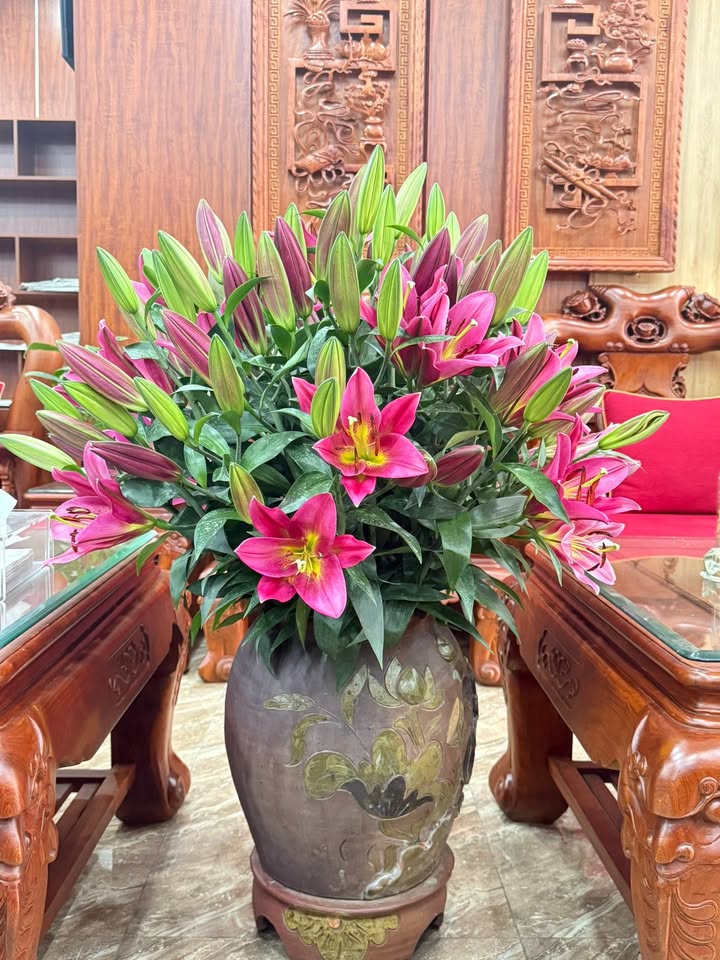 Đất mặt tiền đường 286, phường Kinh Bắc, 330m² - Đầu tư sinh lời ngay!