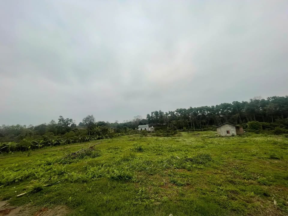 Lô đất Farm Hòa Trúc Quốc Oai 4717m² - Giá trị đầu tư cao