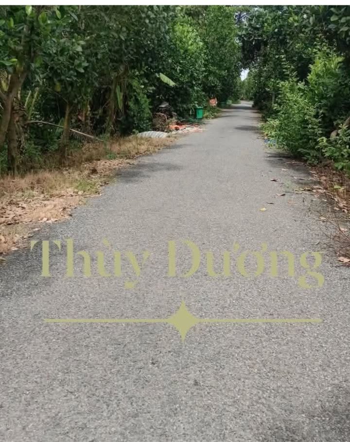 Đất nông nghiệp Hưng Thạnh, Tháp Mười 117 công chỉ 4.212 tỷ - Đầu tư sinh lời tiềm năng