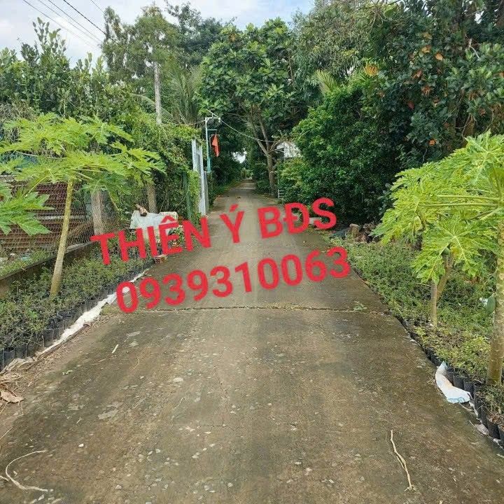 Bán 2 Lô Đất Xã Tân Dương 891.7m² và 923.3m² - Vị Trí Đẹp, Giá Cực Tốt!