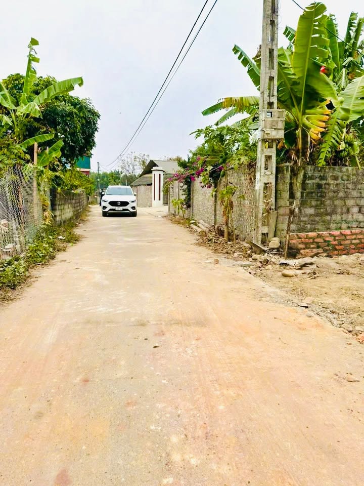 Đất thổ cư Trung Mỹ, Bình Xuyên 98m² giá 1.2 tỷ - Cơ hội đầu tư hấp dẫn!