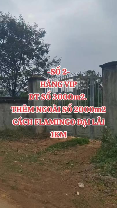 Đất nghỉ dưỡng Flamingo Đại Lải 5000m² giá chỉ 15 tỷ - Cơ hội đầu tư hấp dẫn!