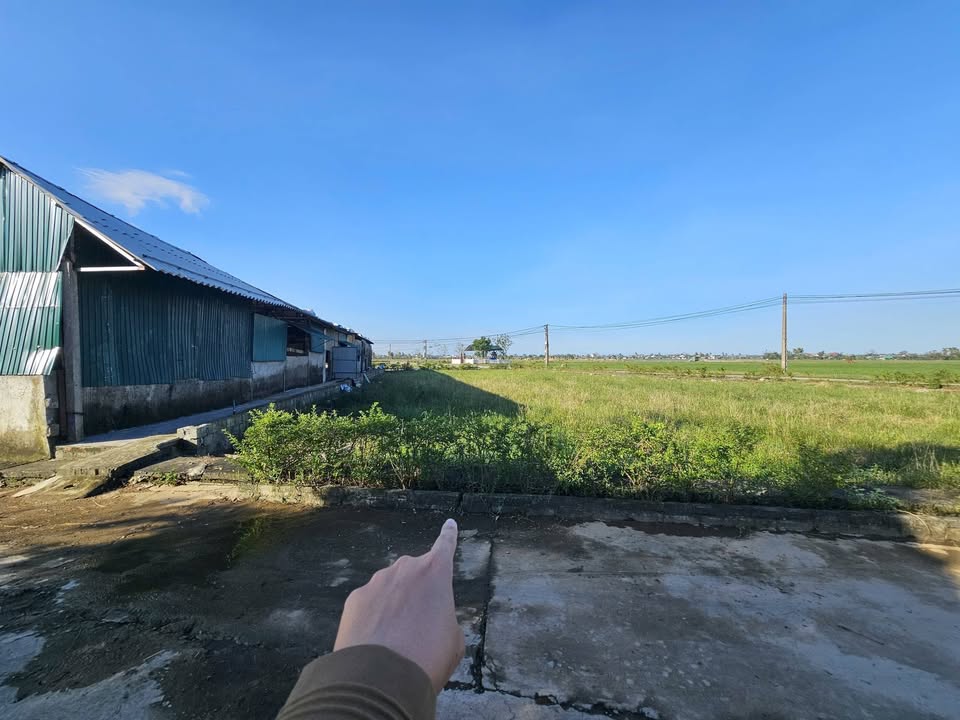 Lô đất thôn Quyết Tiến, xã Thạch Xuân, 750m² - Chính chủ cần bán gấp!