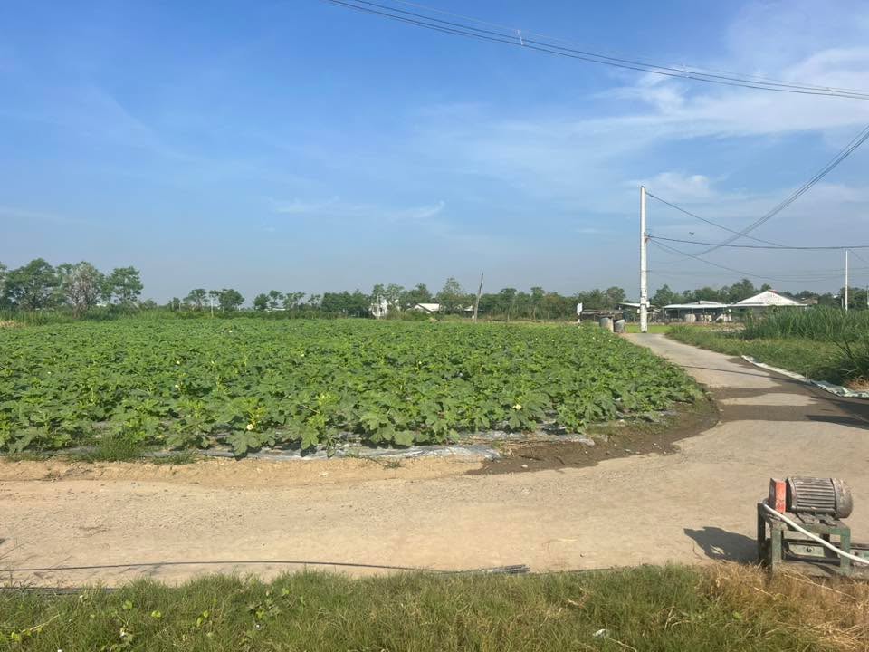 Đất nền Gò Công Đông 648m² giá 1.17 tỷ - Lô góc 2 mặt tiền, đầu tư sinh lời!