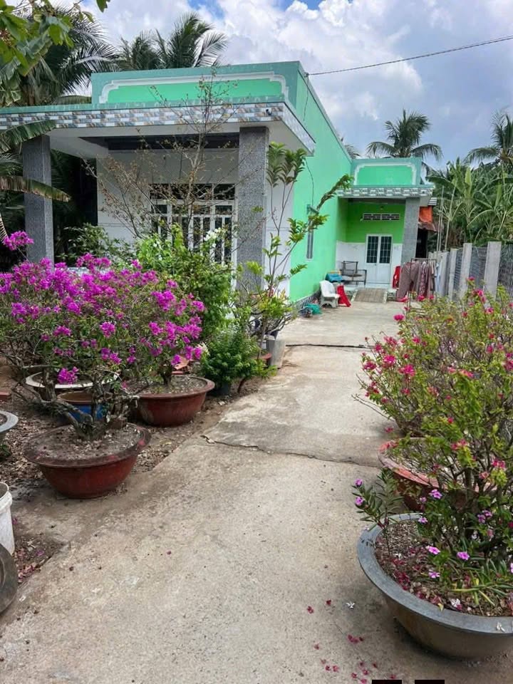 Đất nền xã Thới Lai huyện Bình Đại 517m² giá 900 triệu - Mặt tiền đường lộ liên thông