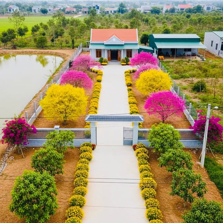 Đất nền Khu Đông Chùa Bình An, Phường Quy Nhơn Đông 70m² giá 2.18 tỷ - Đầu tư sinh lời hấp dẫn!