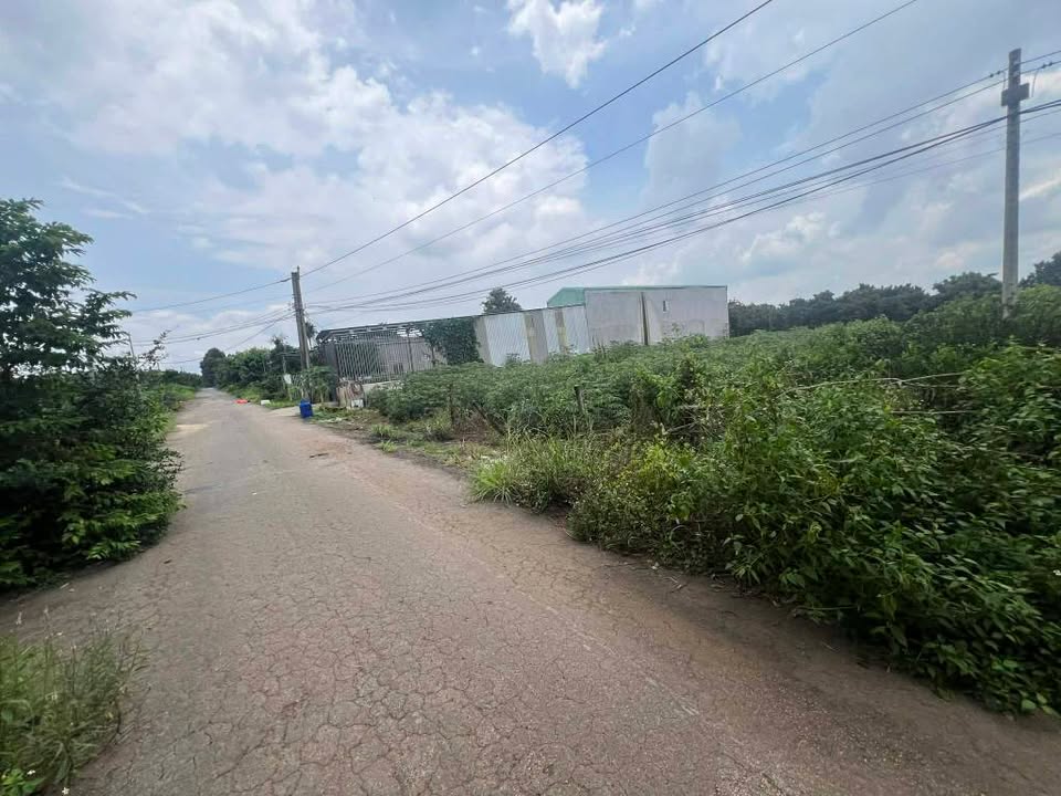 Đất nền Phú Mỹ Bà Rịa - Vũng Tàu 100m² giá 2 tỷ - Mặt tiền đường Song Hành