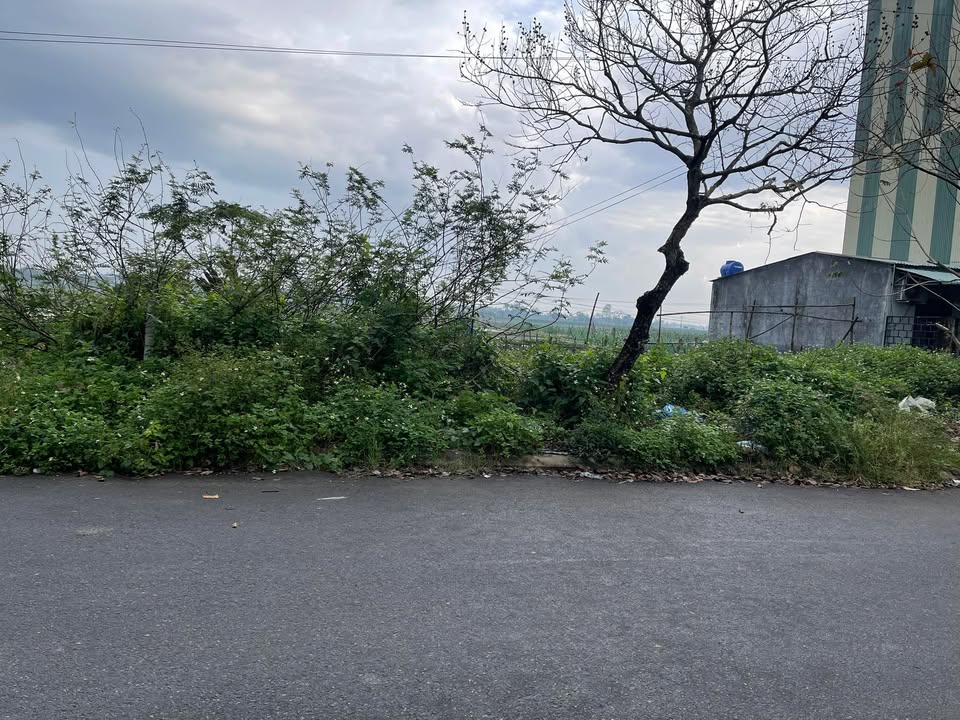 Đất ở Thăng Bình, Quảng Nam 120m² giá 1.2 tỷ - Cơ hội đầu tư tốt