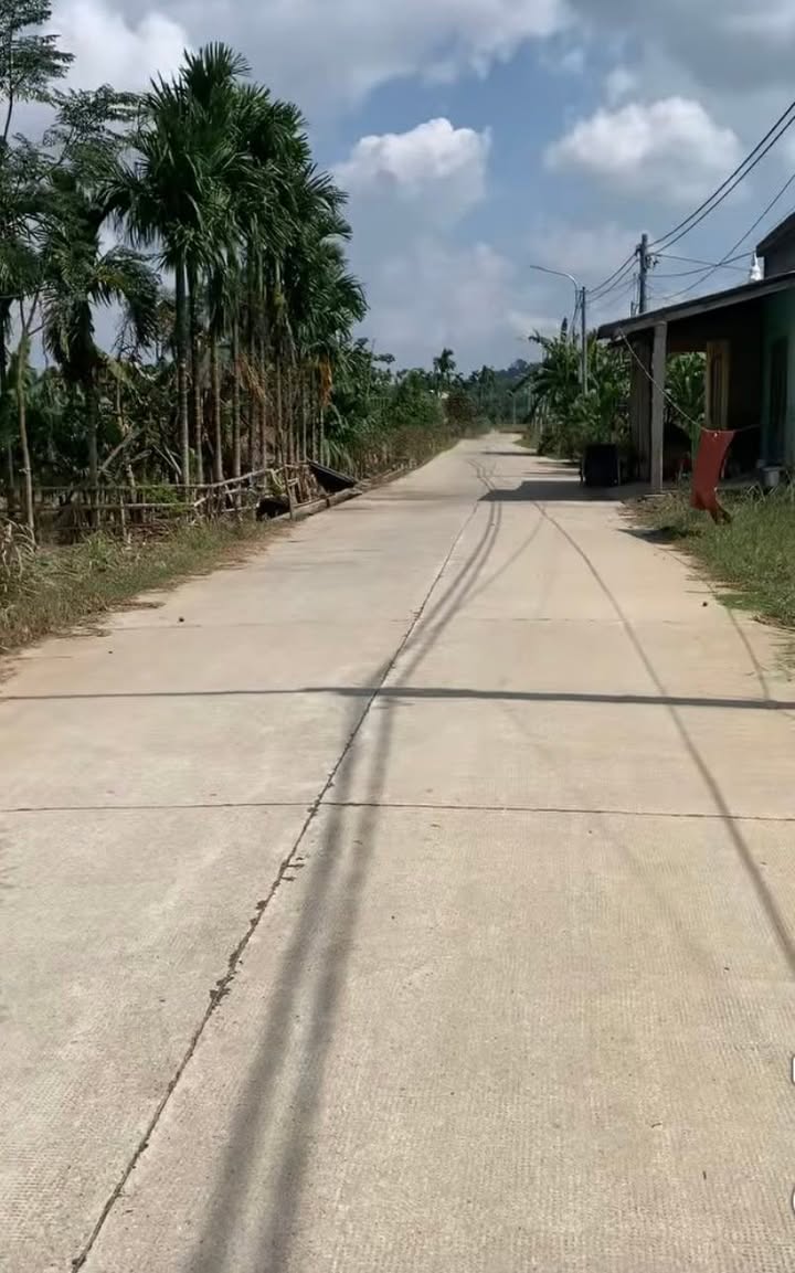 Đất nền Duy Trinh Quảng Nam 115m² giá 480 triệu - Sổ hồng chính chủ sẵn sàng giao dịch!