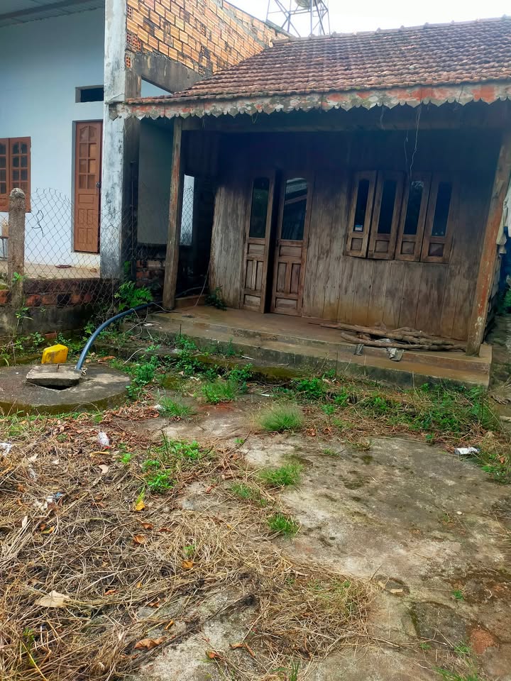 Đất thổ cư 159m² tại xã Ea Ral, huyện Ea H'leo - Sát chợ và trường học, giá chỉ 1.2 tỷ!