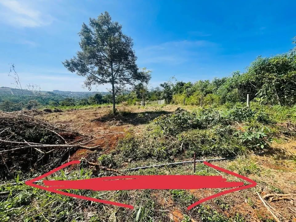 Đất thổ cư Nghĩa Đức 252m² giá 680 triệu - Mặt tiền bê tông 6m, dân cư đông đúc!