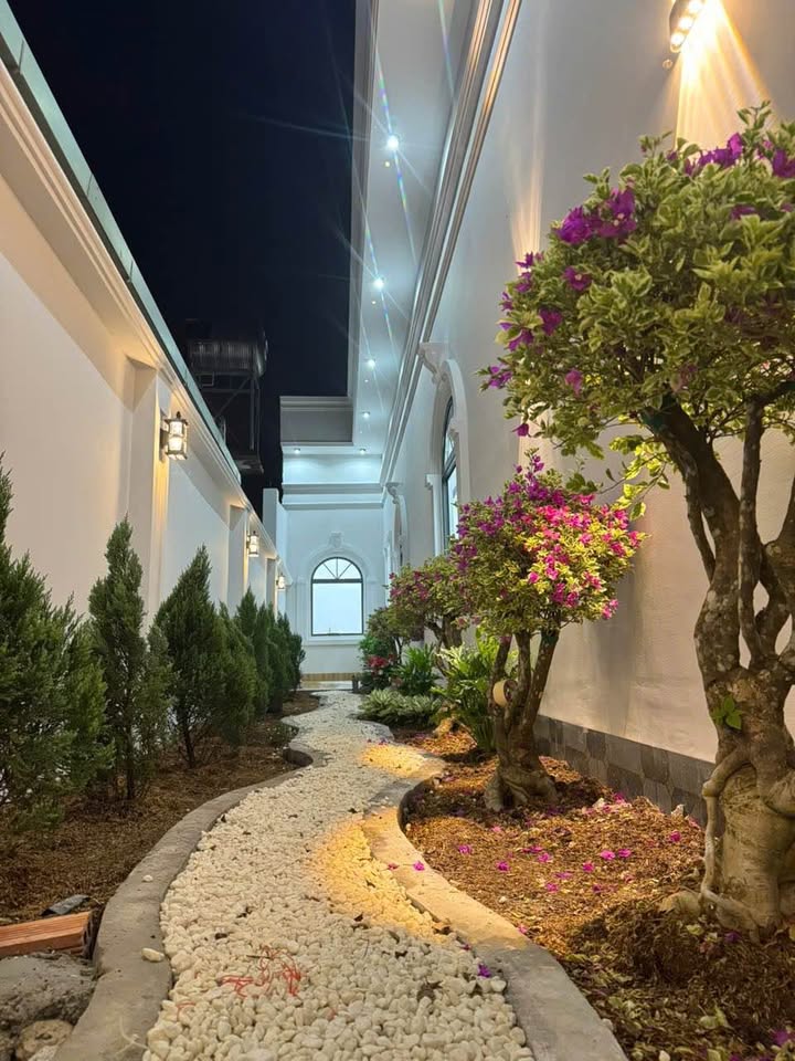 Nhà đẹp tại đường Nguyễn Văn Linh, phường Long Hoa, Tây Ninh 188.3m² - Không gian mở thoáng đãng!