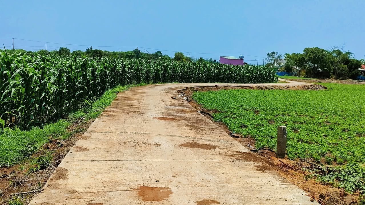 Đất nền 4.700m² Láng Dài, Đất Đỏ chỉ 5.5 tỷ - Đầu tư sinh lời ngay!