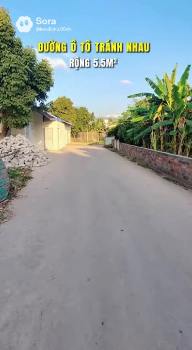 Đất nền lô góc 80m² Tân Dĩnh, Lạng Giang - Đường lớn, giá tốt!