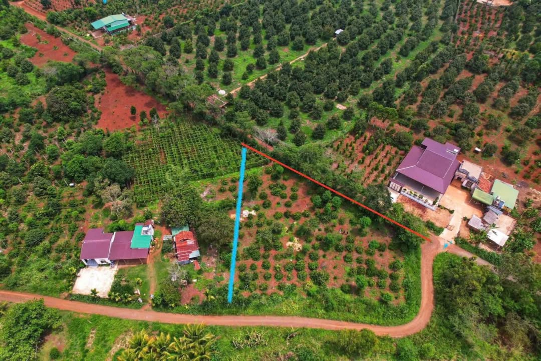 Đất Phú Xuân Krông Năng 2300m² giá 899 triệu - Sổ đỏ chính chủ, đầu tư sinh lời!