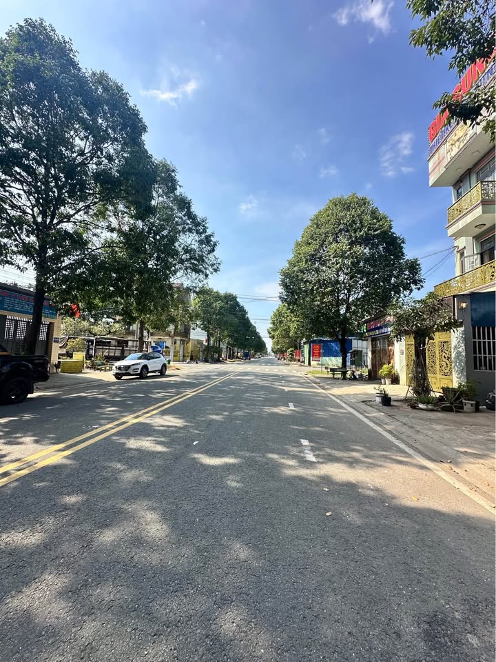 Đất nền đường 51, phường Phú Tân, Thủ Dầu Một 100m² giá 3.3 tỷ - Vị trí kinh doanh đắc địa!