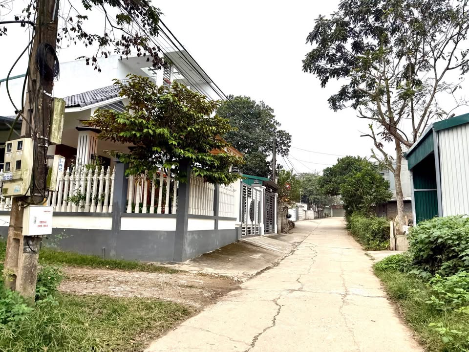 Đất Nông Tiến Tuyên Quang 100m² - Vị trí đẹp, thoáng đãng, giá tốt!