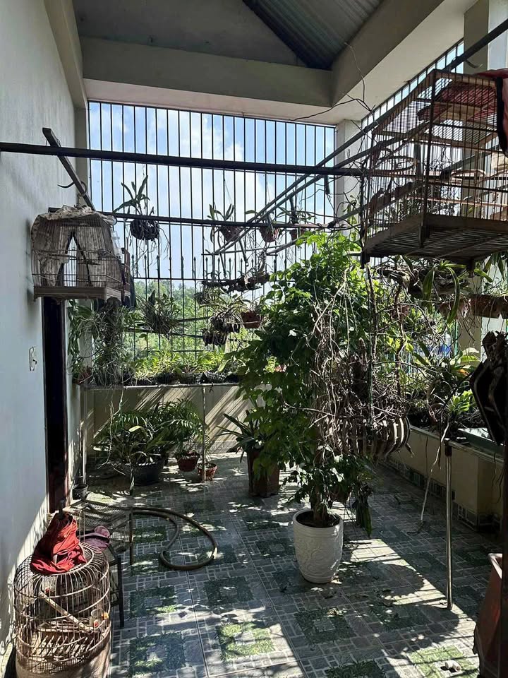 Nhà cho thuê tại Khúc Xuyên, Bắc Ninh - 4 phòng ngủ, chỉ 10 triệu/tháng!