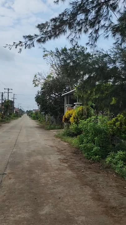 Đất nền Đức Minh Mộ Đức 264m² giá 800 triệu - Cơ hội đầu tư lý tưởng!