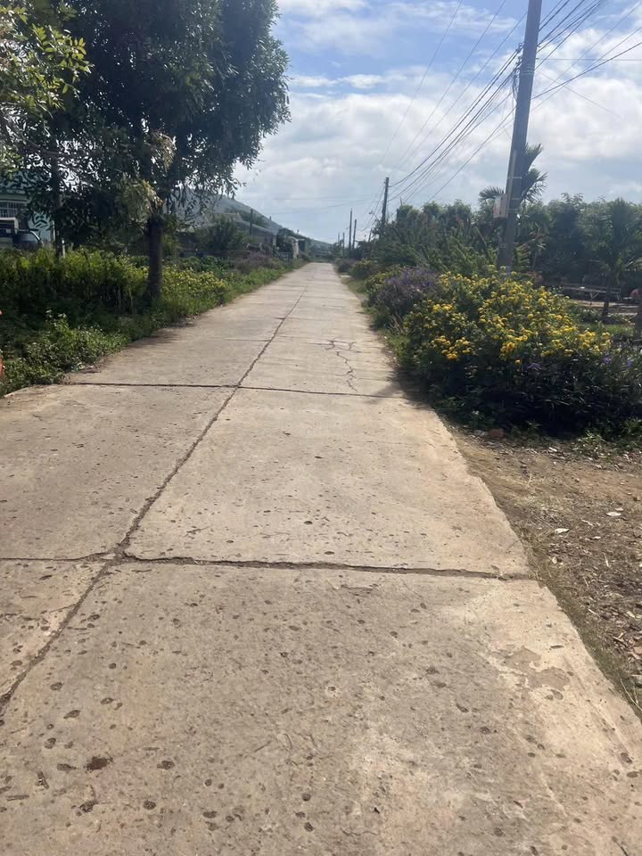 Đất nền Tân Hội, Đức Trọng 270m² giá 750 triệu - Sổ hồng chính chủ ngay!