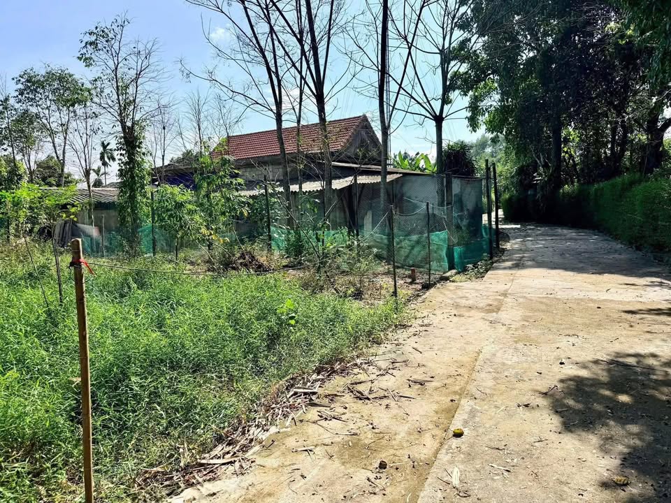 Đất nền Thượng An 2, Phong An 150m² giá 400 triệu - Vị trí tiềm năng cao!