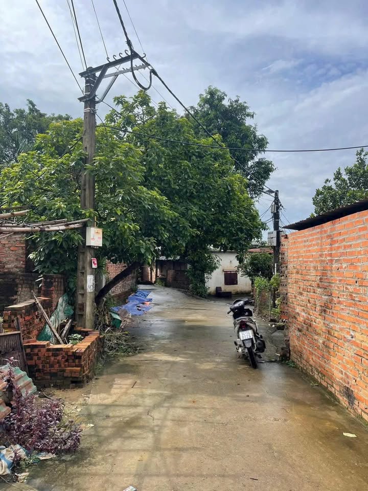 Đất nền Cần Kiệm, Thạch Thất 168m² - Dân cư đông đúc, sát Bộ Công An!