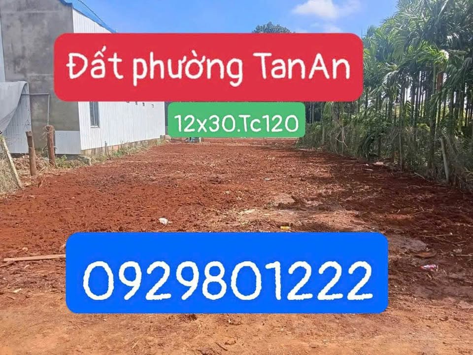 Đất nền Tân An, Buôn Ma Thuột 360m² chỉ 3.15 tỷ - Đầu tư sinh lời ngay!