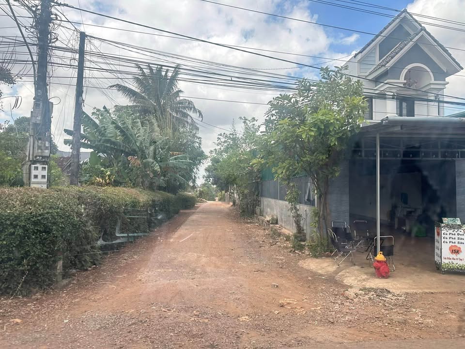 Đất liền kề Hòa Phú Buôn Ma Thuột 1462.5m² giá 850 triệu - Đầu tư sinh lời ngay!