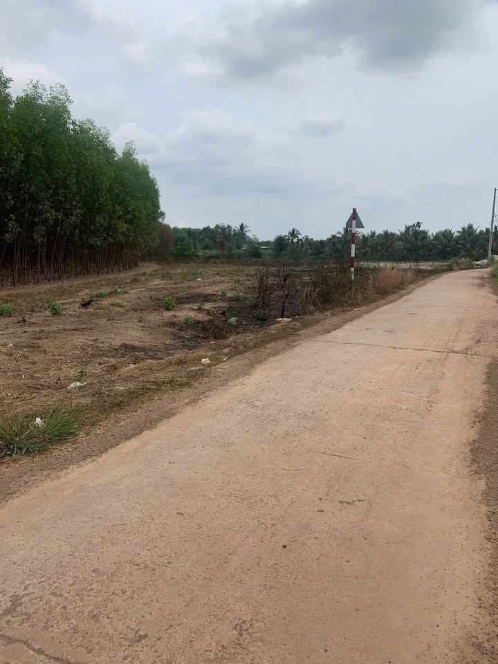 Đất mặt tiền đường bê tông Trị An, Vĩnh Cửu 500m² - Sổ hồng riêng, giá tốt!