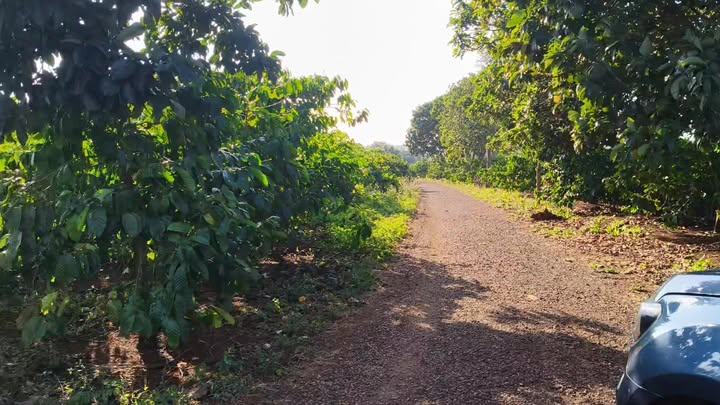 Đất nền 2 mặt đường Cách Mạng, Chư Sê 7200m² giá 2 tỷ - Đầu tư sinh lời ngay!