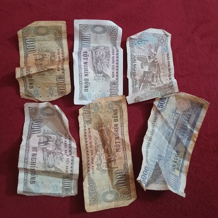 Đất nền Chư Sê Gia Lai 1575m² giá 3.6 tỷ - Đầu tư sinh lời hấp dẫn!