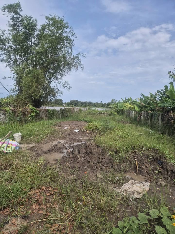 Đất nền Rạch Giá Kiên Giang 790m² giá 1.8 tỷ - Tiềm năng đầu tư lớn!