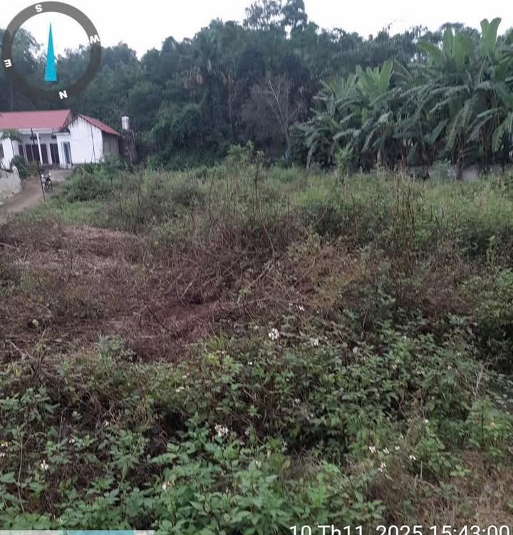 Đất nền Tô Vũ Thanh Thủy 247,5m² giá thỏa thuận - Đầu tư thông minh ngay hôm nay!