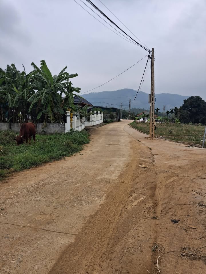 Đất nền Tu Vũ, Thanh Thủy 247m² giá chỉ từ 100 triệu - Cơ hội đầu tư sinh lời cao!