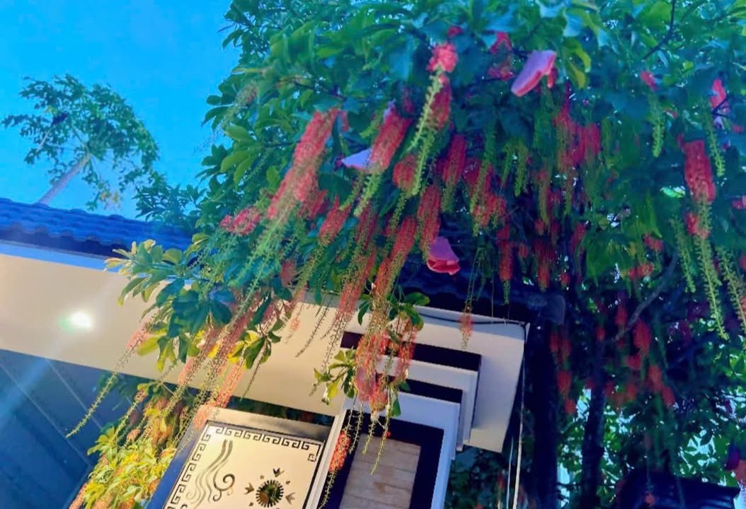 Đất nông nghiệp 1000m² mặt tiền 33m tại Xuân Tâm chỉ 460 triệu - Cơ hội vàng đầu tư!