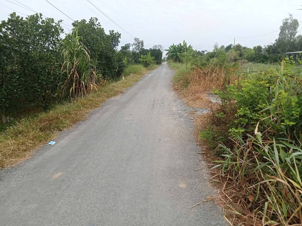 Đất thổ cư 1.000m² xã Tân Hiệp, huyện Thạnh Hóa - Giá chỉ 700 triệu VND!