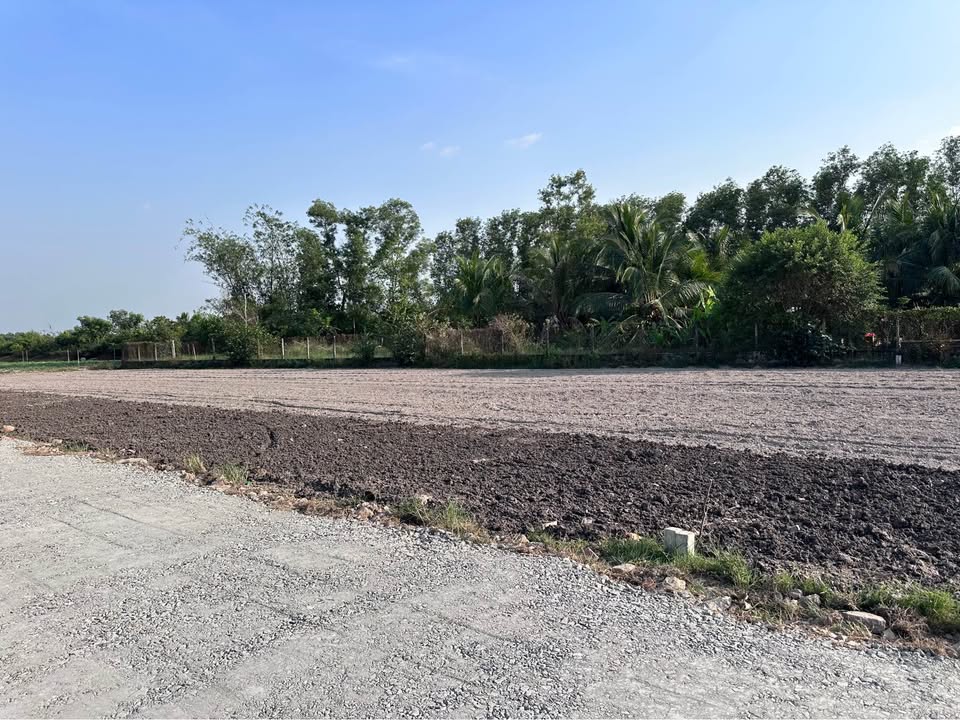 Đất thổ cư Thanh Thuận, Châu Thành, Tây Ninh 125m² giá 400 triệu - Cơ hội đầu tư hấp dẫn!