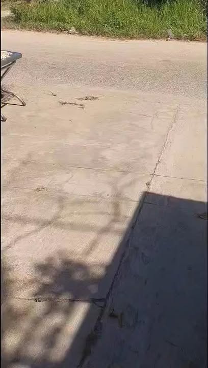 Đất có nhà tại xã Tân Lập, huyện Hàm Thuận Nam, 653m² - Giá 1.7 tỷ, đầu tư sinh lời!