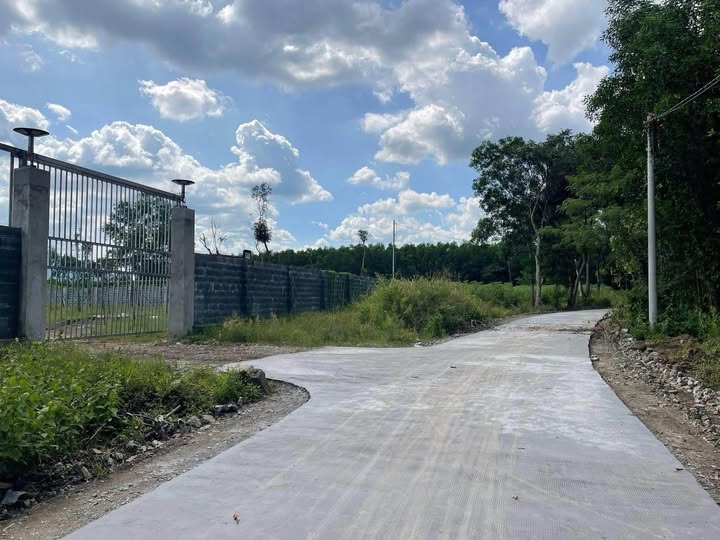 Đất nền Xuân Thành, Xuân Lộc 1900m² - Sổ hồng trao tay, giá cực tốt!