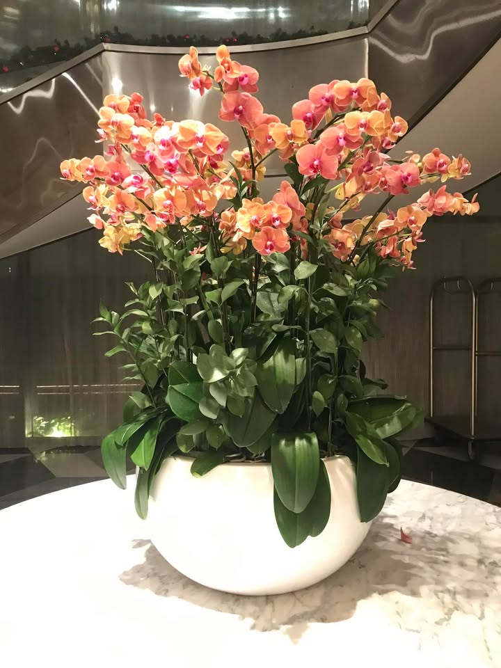 Nhà nguyên căn cho thuê tại mặt tiền Hoàng Văn Thụ, Quy Nhơn - Diện tích 30m², giá 3.5 triệu/tháng!