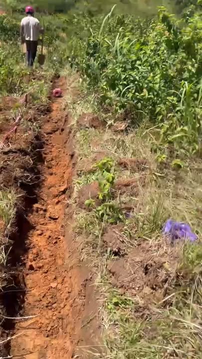 Đất nền Đạ Nhim 6.500m² giá 320 triệu - Sổ đỏ chính chủ, giao dịch nhanh!