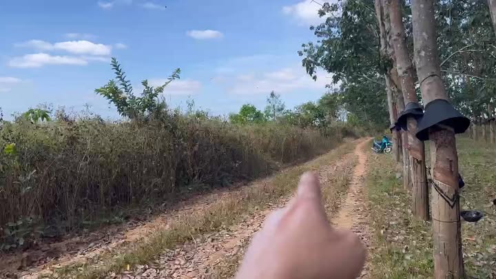 Đất nông nghiệp 3,7 sào tại xã Hòa Bình, Kon Tum - Giá thỏa thuận hấp dẫn!