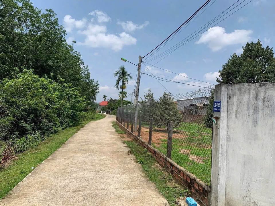 Đất thổ cư 5000m² tại thôn Tân An, xã Ia Chim, TP Kon Tum - Giá chỉ 1.3 tỷ!