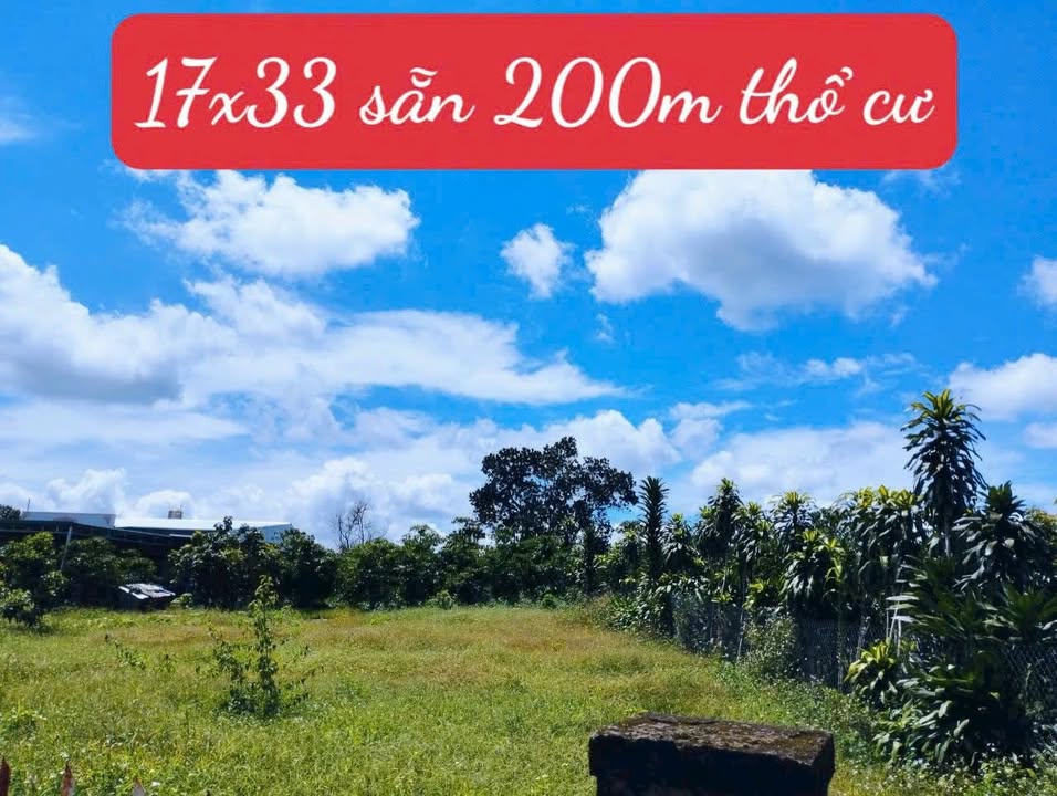 Đất nền hẻm 221 Đoàn Thị Điểm, Lộc Thanh, 524m² giá 2.7 tỷ - Đầu tư sinh lời