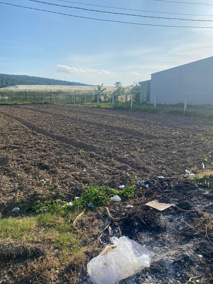 Đất thổ cư Nghĩa Hội Đơn Dương 228m² giá 760 triệu - Cơ hội đầu tư tuyệt vời!