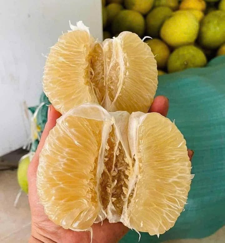 Cho thuê mặt bằng đường Tôn Đức Thắng, Đồng Xoài - Giá 7 triệu/tháng, vị trí đắc địa!