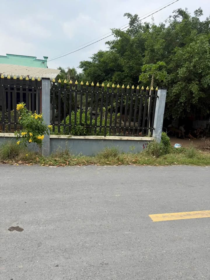 Đất thổ cư xã Mỹ Hạnh, Đức Hòa 157.5m² giá 1.45 tỷ - Mặt tiền đường Rừng Sến