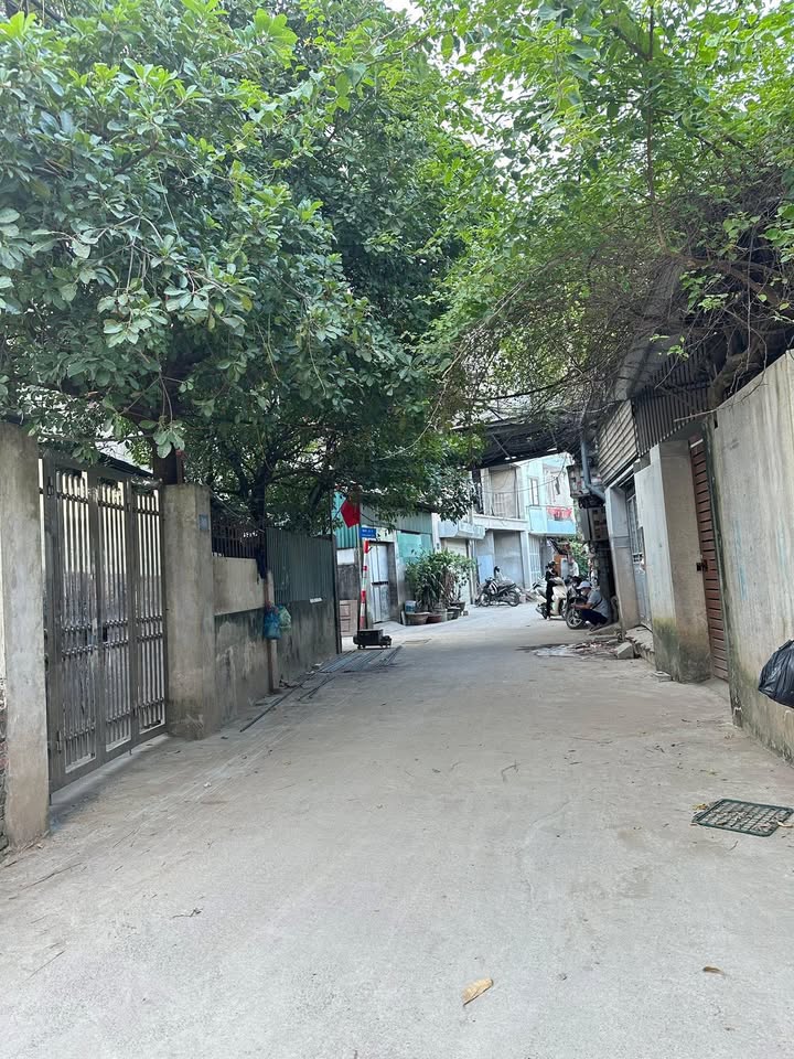 Nhà riêng Tây Mỗ, Nam Từ Liêm 43m² giá 5 tỷ - Lô góc thoáng sáng, ô tô vào nhà!