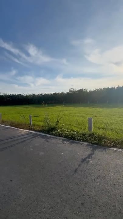 Đất thổ cư Ấp Long Hòa, Tây Ninh 130m² chỉ 375 triệu - Đầu tư sinh lời ngay!