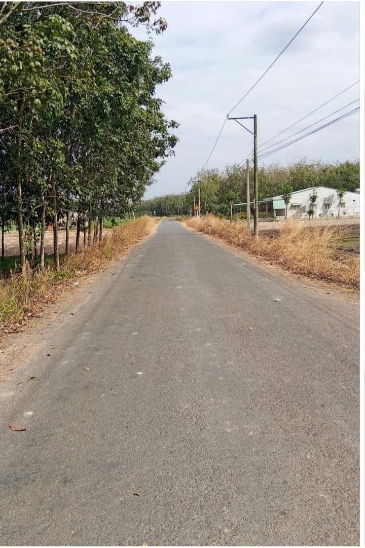 Đất nền thổ cư Tân Biên 200m² giá chỉ 200 triệu - Cơ hội đầu tư tuyệt vời!